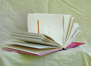 open pages from 'Good Intentions'